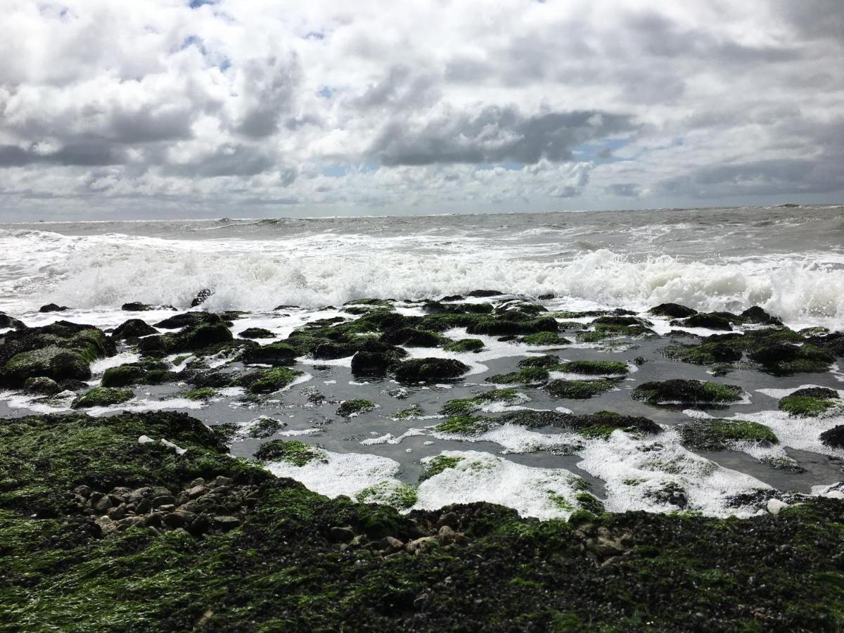 Fijne Studio Aan Zee คัลลันท์สโอก ภายนอก รูปภาพ